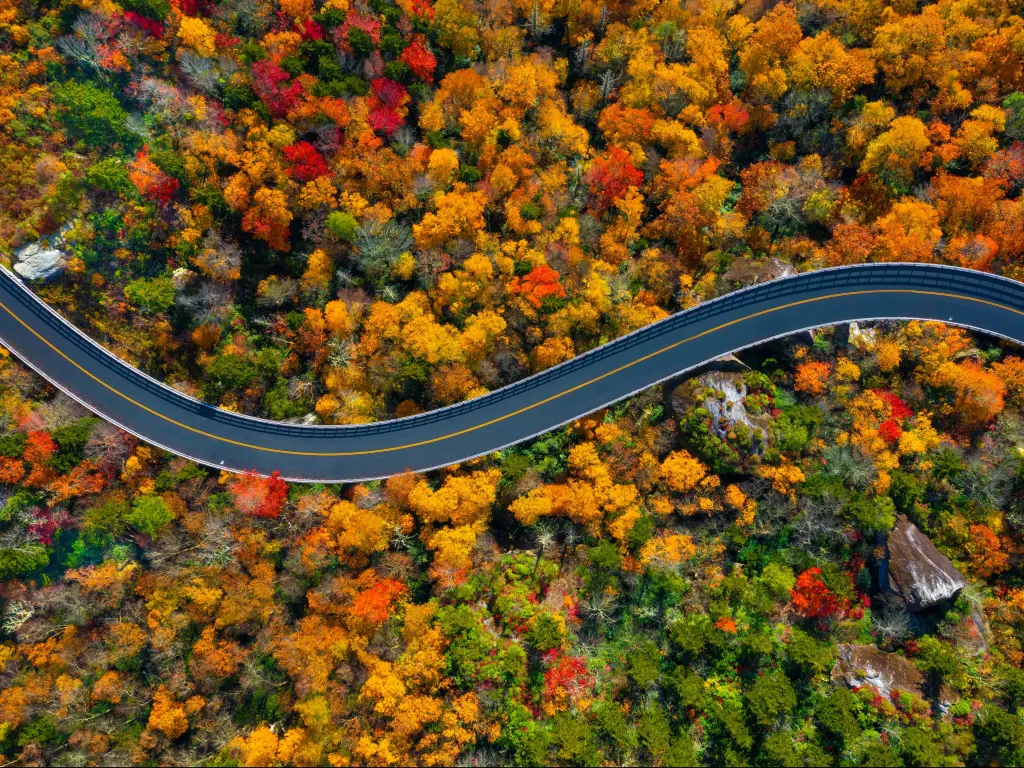 Aerial view of road winding through forest with red, gold and green fall foliage