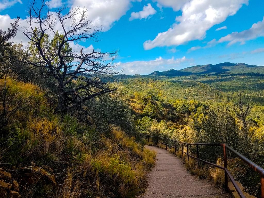 Prescott National Forest in Prescott, Arizona, USA with a path leading to the top of Thumb Butte Trail, views of the tree lined hills in the distance against a blue sky.