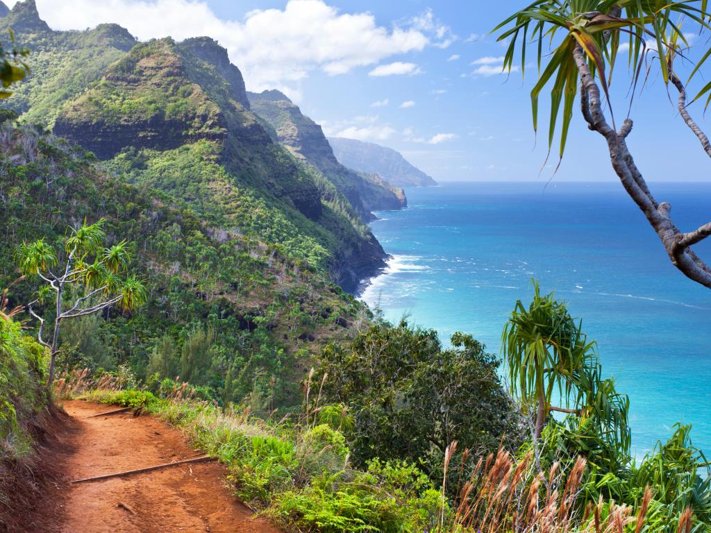 View along the Na Pali Coast from the Kalalau Trail in Kauai, with lush vegetation along the edges of the path