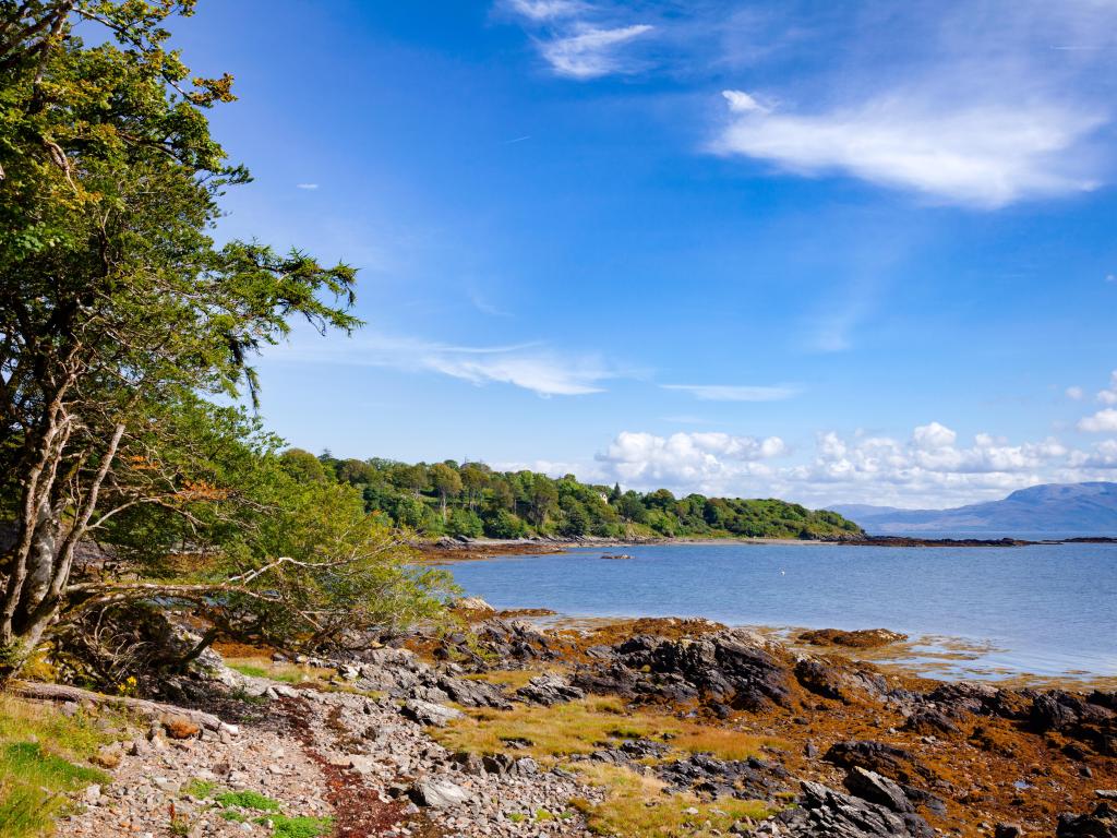 Shoreline with pebbles and trees next to the water with blue sky above at the Sleat Peninsula in Scotland