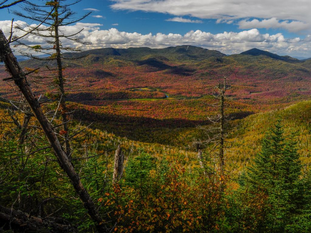  High Peaks Wilderness Area, Adirondack Forest Preserve, New York with trees and long grass in the foreground looking down to the valley of red and yellow grass and large hills beyond on a sunny day.