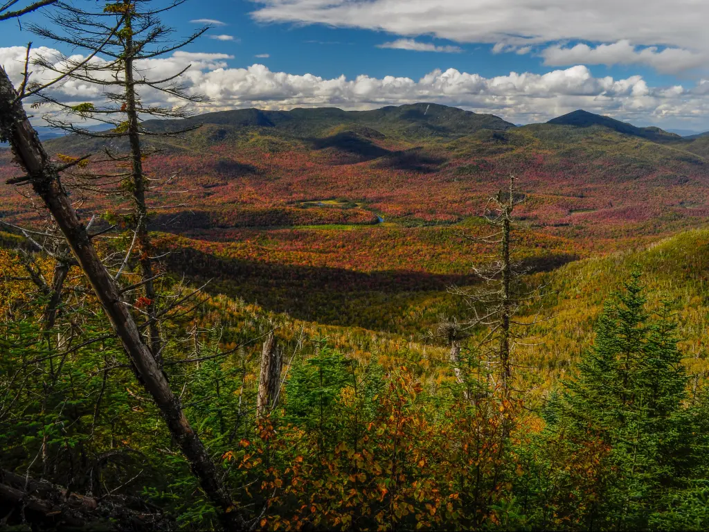  High Peaks Wilderness Area, Adirondack Forest Preserve, New York with trees and long grass in the foreground looking down to the valley of red and yellow grass and large hills beyond on a sunny day.