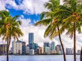 Downtown skyline of Miami with palm trees in the foreground on a partially cloudy day