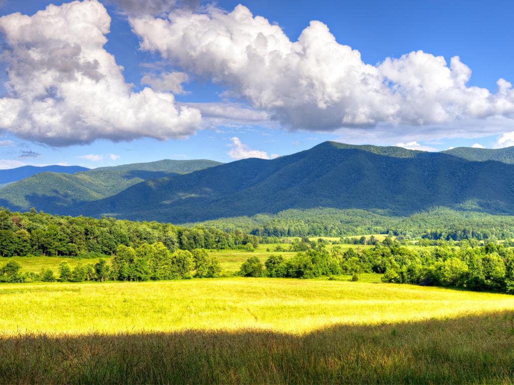 Great Smoky Mountains National Park, USA taken at Cades Cove in spring with a meadow in the foreground and the mountains in the distance on a sunny day.