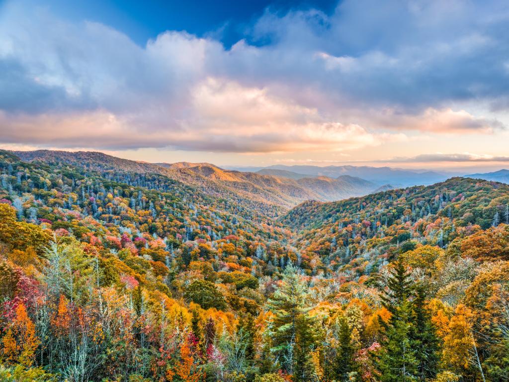 Misty mountain view with green, orange and red foliage