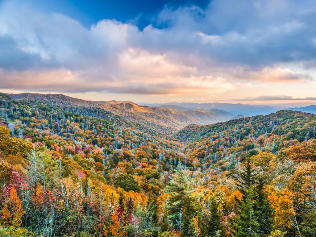 Misty mountain view with green, orange and red foliage