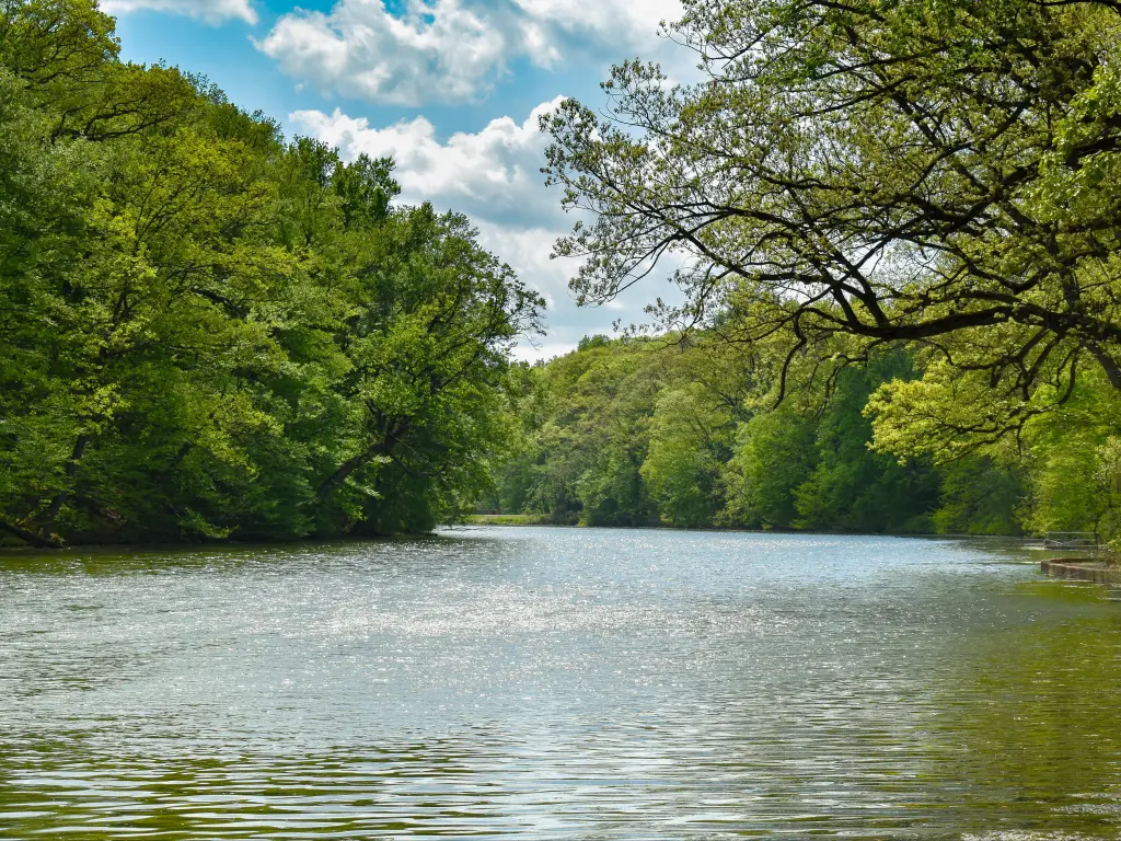 View across lake in forefront of picture and lush woodlands surrounding Echo Lake Park In Mountainside, New Jersey 