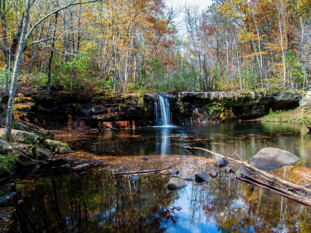 Banning State Park, Sandstone, Minnesota, USA taken at Wolf Creek Falls on the Kettle River during fall with trees in the distance and leaves in the river.