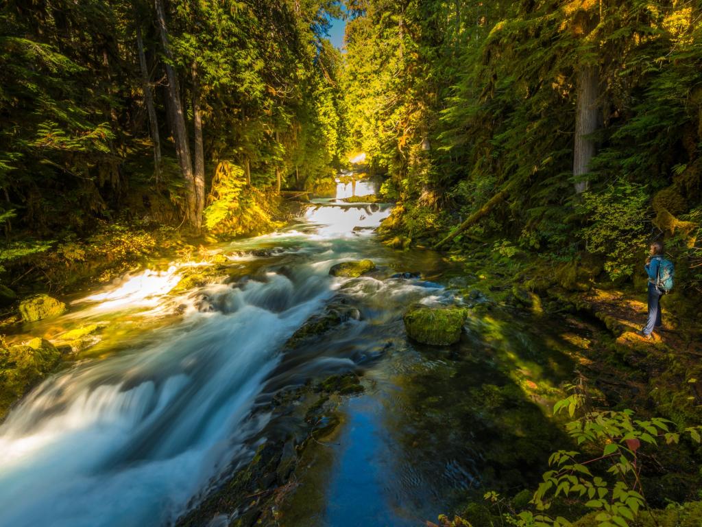 Backpacker looking at a waterfall running through the trees at Willamette National Forest 