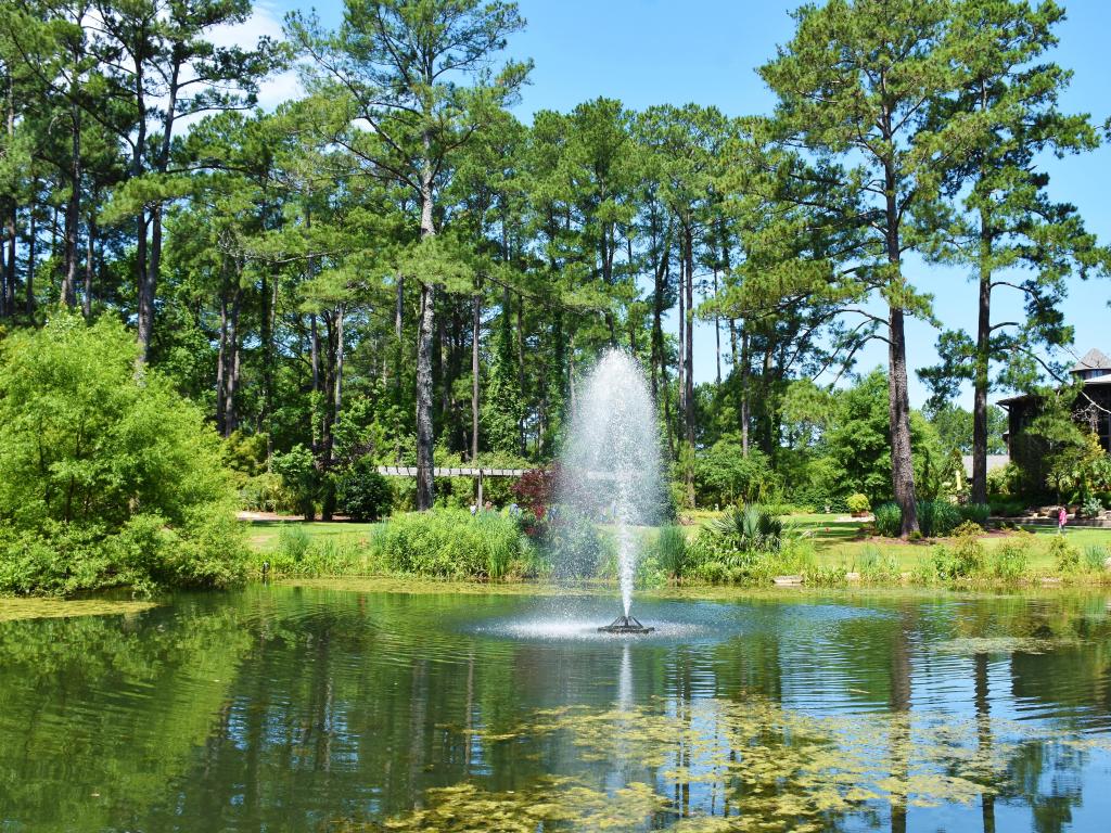 Fayetteville, North Carolina, USA taken at Cape Fear Botanical Garden wit a pond and water feature in the foreground, surrounded by tall trees in the distance and taken on a sunny day.