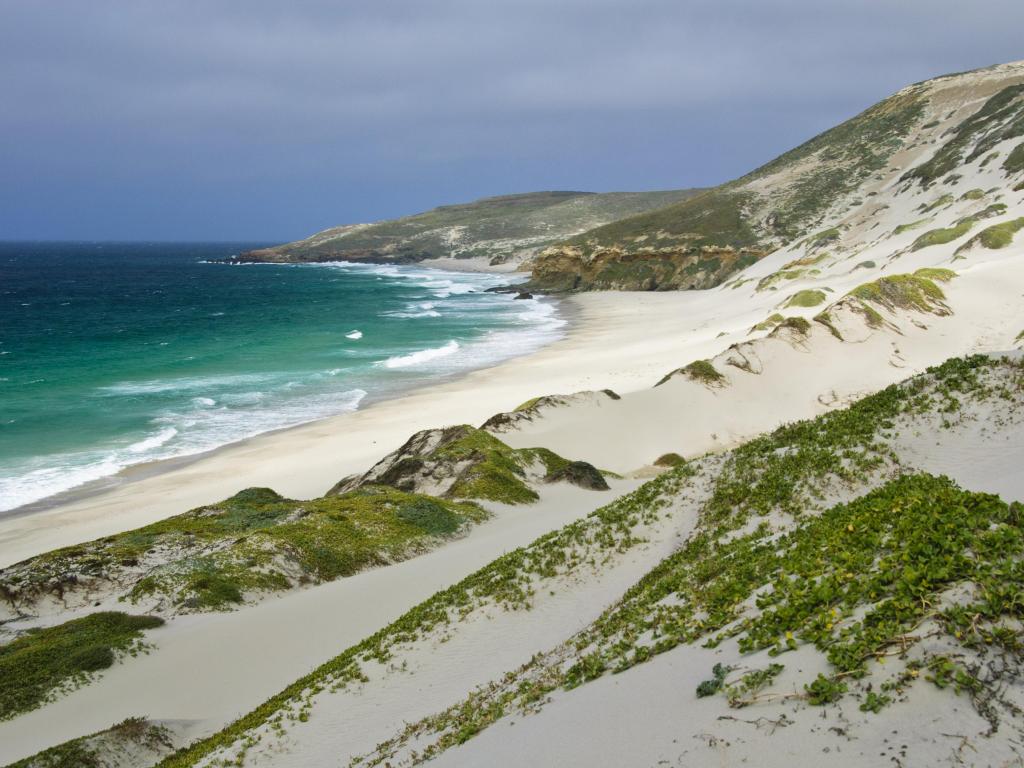 San Miguel Island, Channel Island National Park, California with sand dunes in the foreground and a beautiful remote beach with the sea lapping the shores.