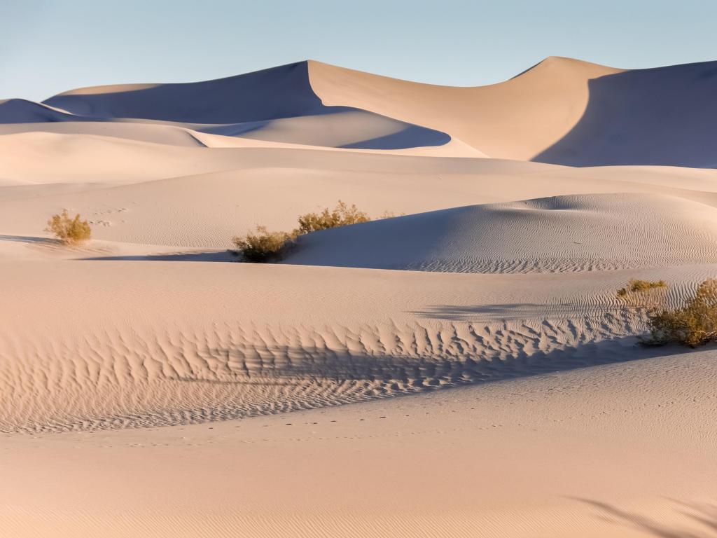 Early Morning at the Mesquite Flat Sand Dunes. Death Valley National Park, California, USA.