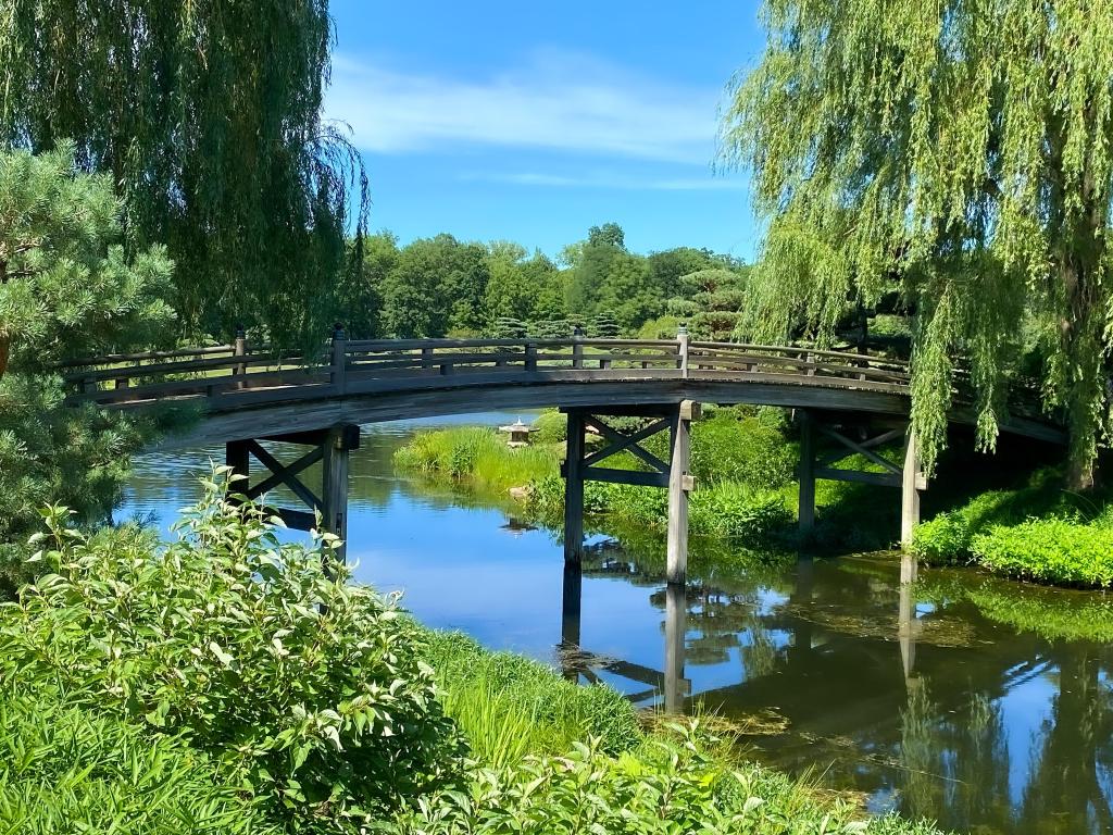 Chicago Botanic Garden, Illinois, USA taken at the Japanese Garden Bridge with greenery in the foreground and a river, trees in the distance and taken on a sunny day.