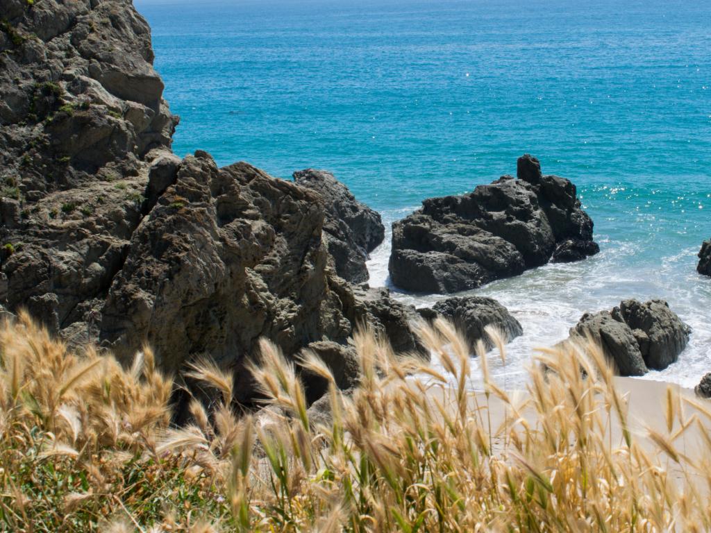 Sycamore Cove/Canyon Beach, USA with tall grass in the foreground and rock formations in the sea in the distance, a beach between the two.