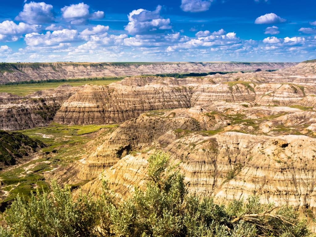 Aerial view over Horsethief Canyon surrounded by blue skies and  layered formations of the Canadian Badlands