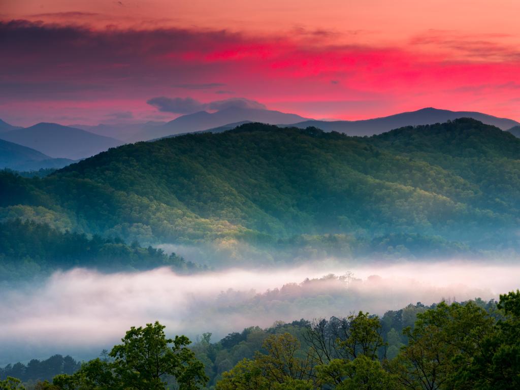 Great Smoky Mountains National Park, USA taken at spring during sunrise with a view of layered mist in the mountains with a red sky and trees in the foreground.