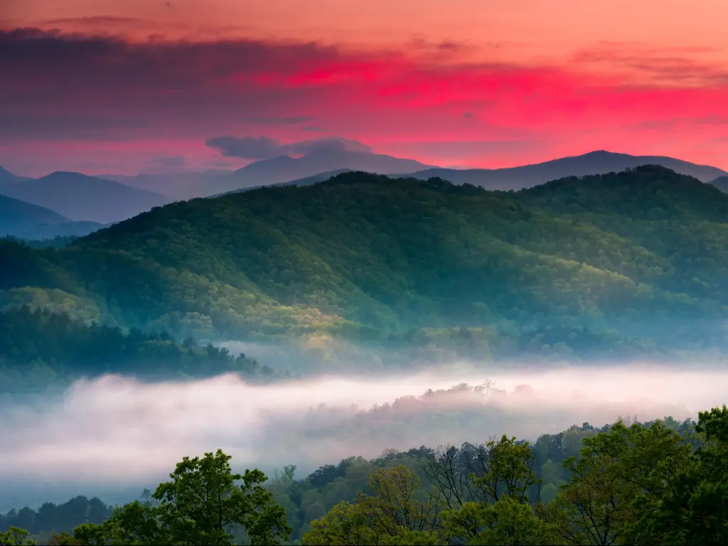 Great Smoky Mountains National Park, USA taken at spring during sunrise with a view of layered mist in the mountains with a red sky and trees in the foreground.