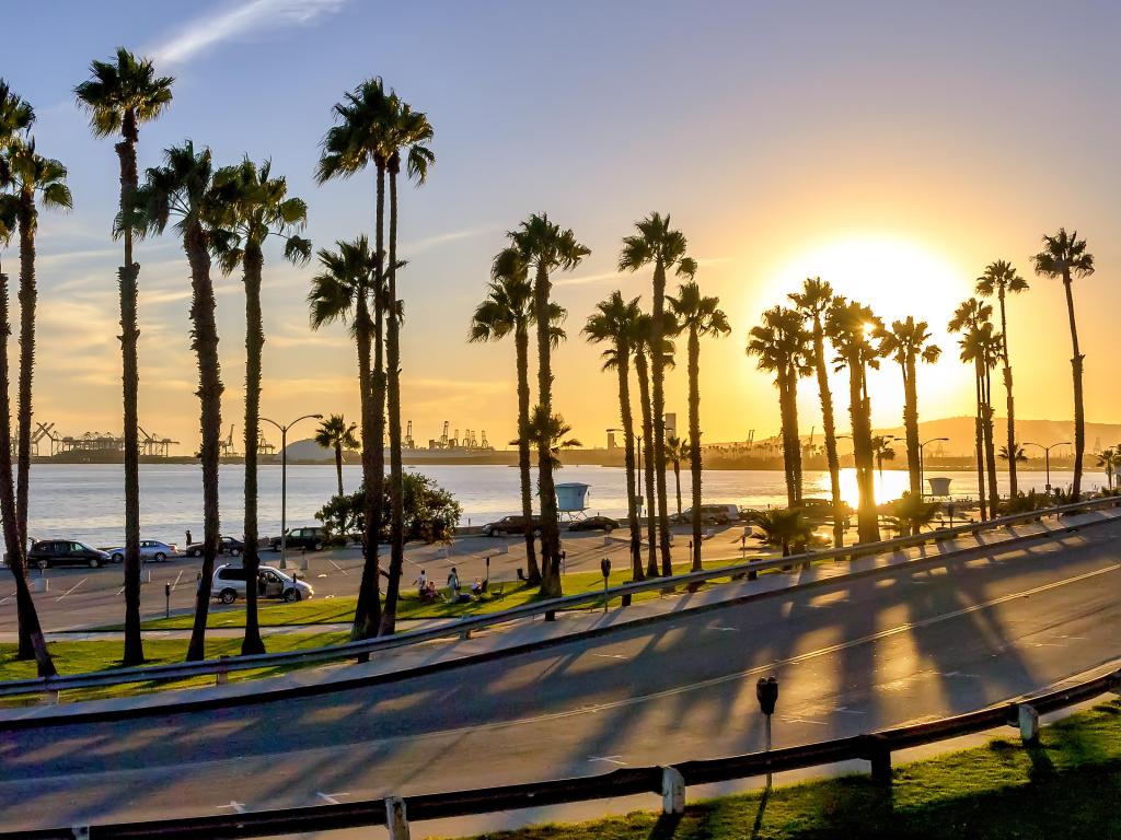 Coastal road sunset in Long Beach, California.
