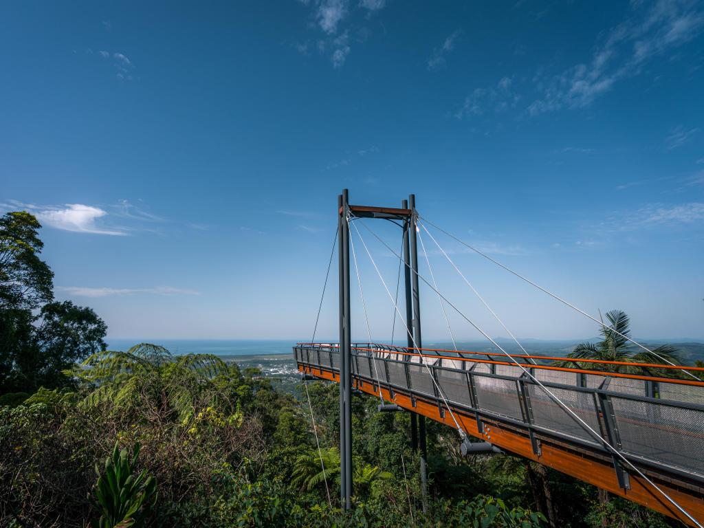 A bridge over the forest, extending towards the coast and providing scenic views on a sunny day