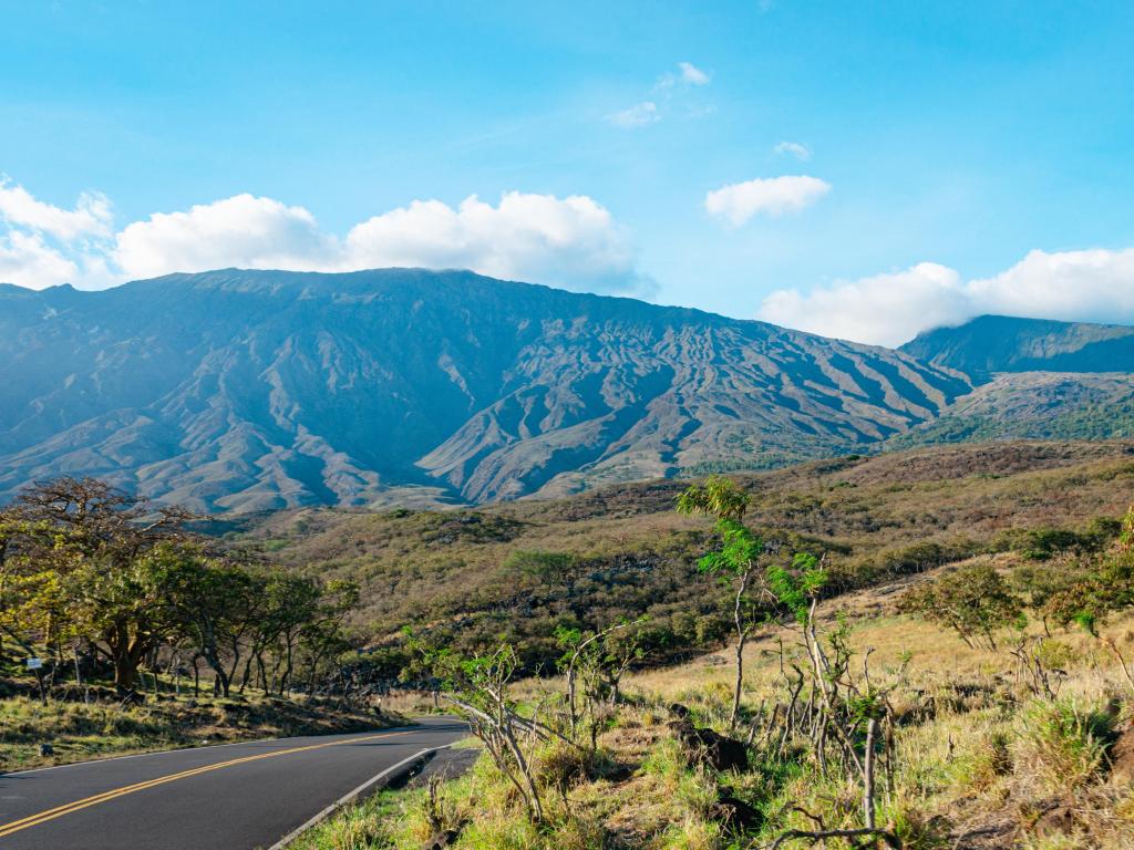 Roads passing through Maui's backroads, with mountains in the distance and grassland verges, on the Road to Hana