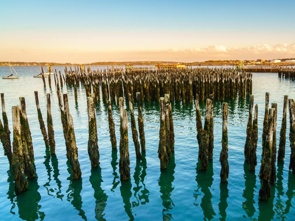 View of the Eastern Promenade Trail, Portland, Maine at sunrise, with wooden posts jutting out of the water