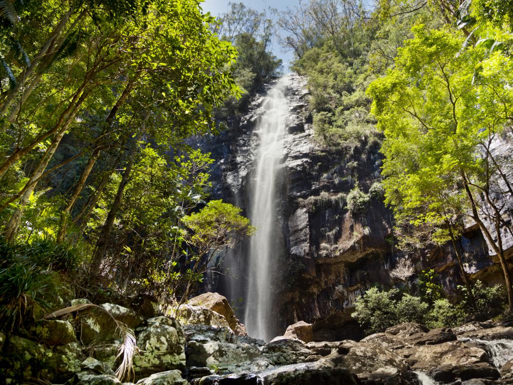 Protesters Falls in the Gondwanan rainforest within the Nightcap National Forest, New South Wales, Australia.