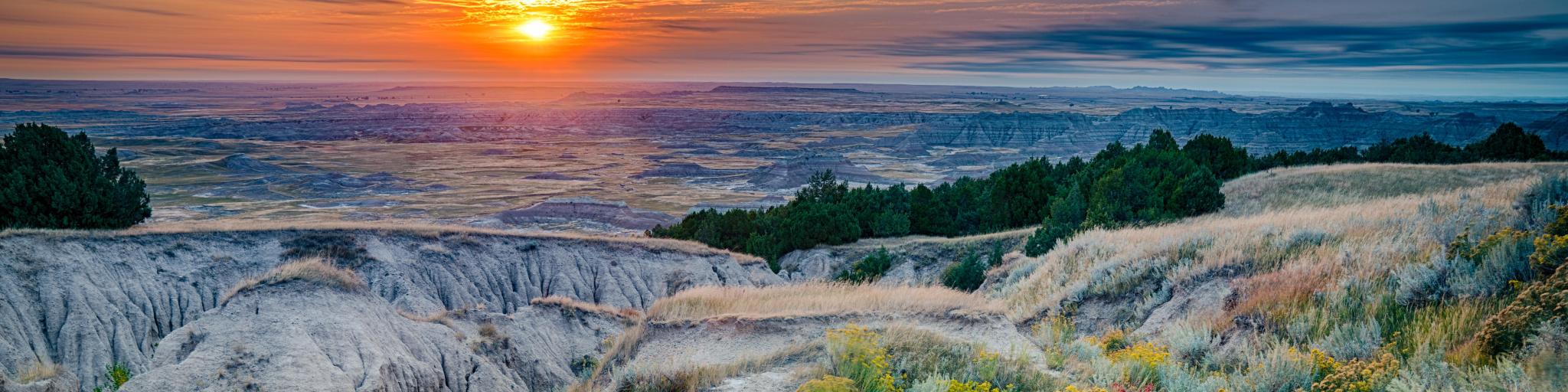 Badlands National Park, South Dakota at sunrise with pretty wildflowers growing in the foreground, rocky terrain and looking down at the valley in the distance.