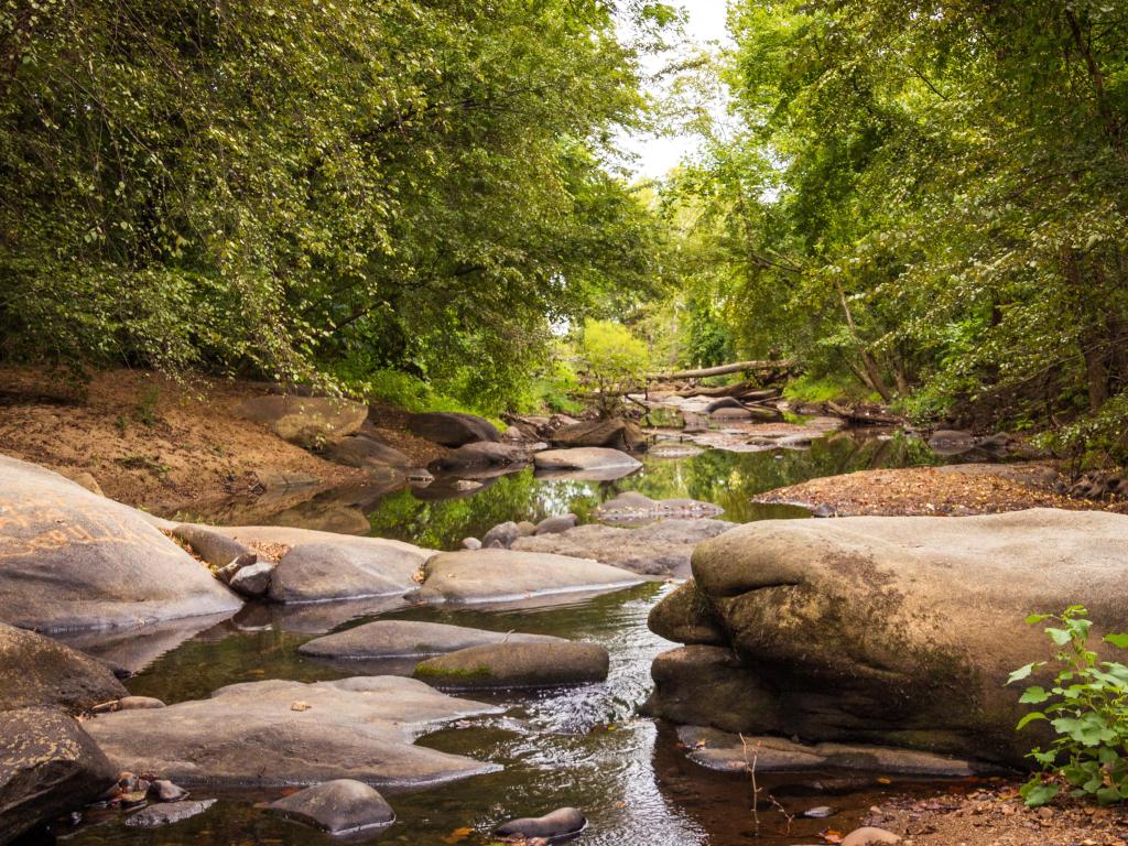 Richmond, Virginia, USA taken at September Stream on the James River with boulders and trees in the distance.