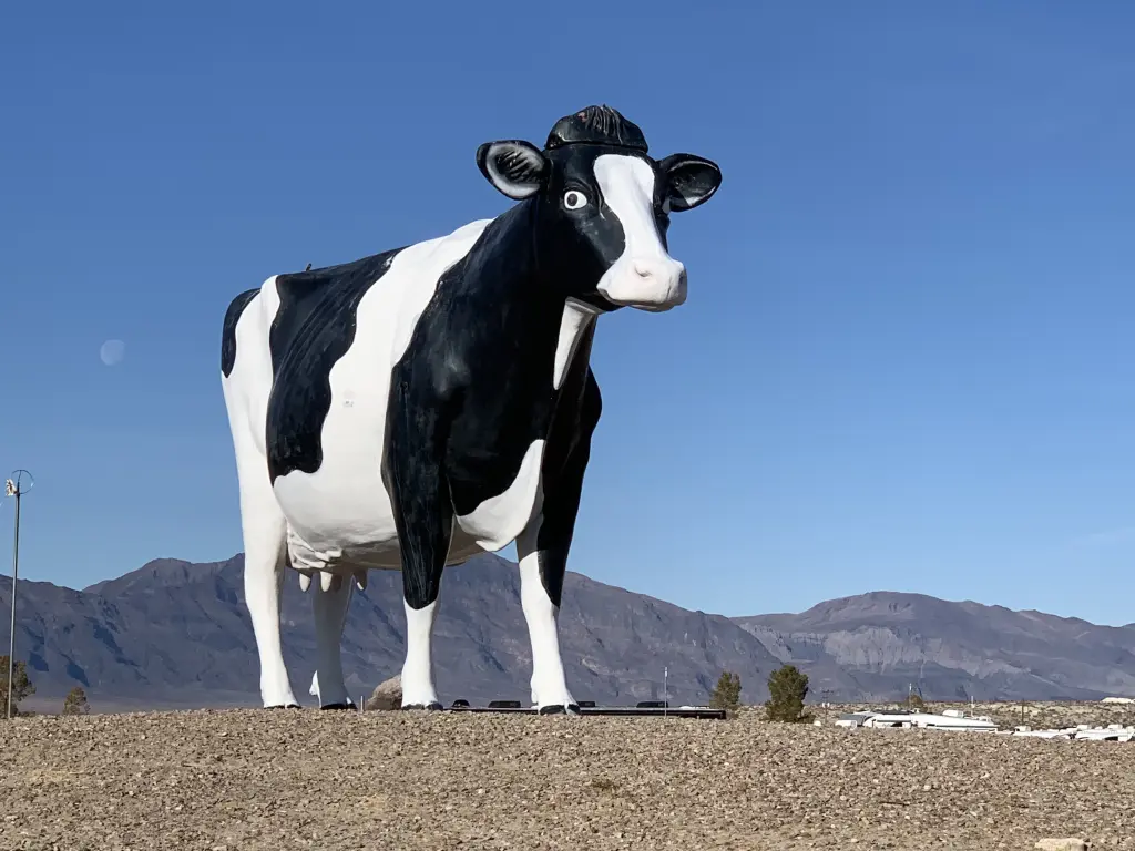 A giant black and white cow statue stands in the desert at Amargosa Valley, Nevada, with a blue sky above