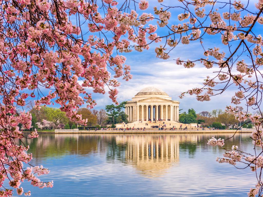 Washington, DC at the Tidal Basin and Jefferson Memorial during spring.