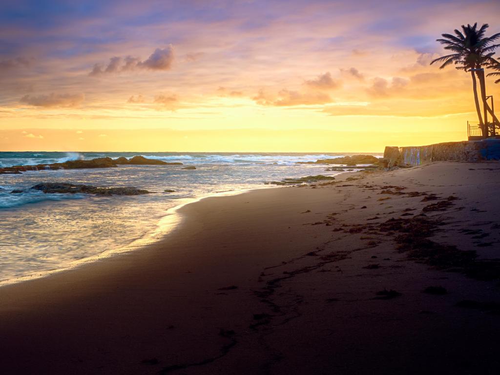 City Beach, Puerto Rico with a view of Old San Juan City and landmarks of Puerto Rico at sunset with the coast and palm tree in the distance.