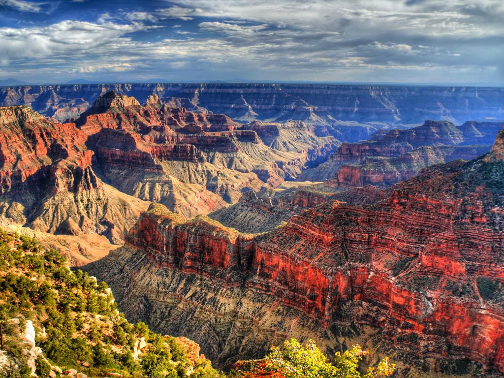 A stunning view of the Grand Canyon at first light giving the canyons a highlight that emphasizes the color of the cliffs of red and green trees