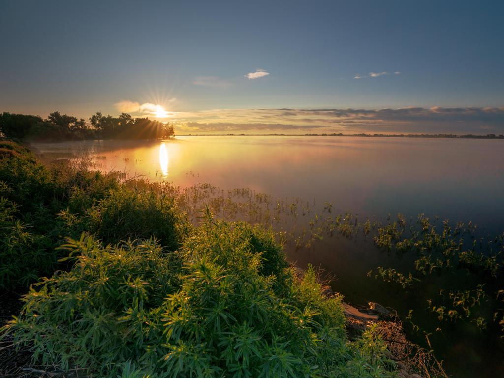 Barr Lake State Park, Denver, Colorado, USA taken at sunset with plants in the foreground and the calm lake in the distance.
