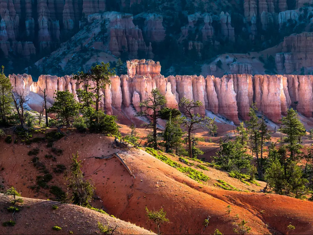 Bryce Canyon National Park, Utah with trees growing on the hills in the background and the incredible rock formations partly in the shade in the background.