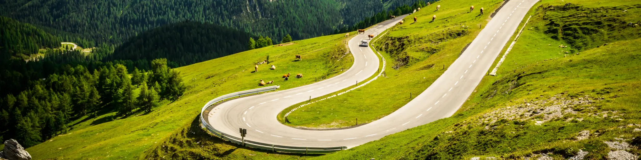 Winding Nockalm Road, Austria with green grass and cattle grazing 