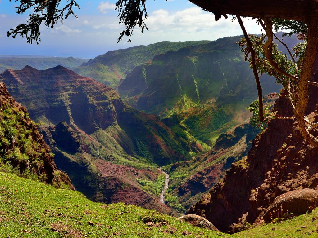 Scenic lookout over Kauai Waimea Canyon in Hawaii on a sunny day, with moss covering the rugged rocks