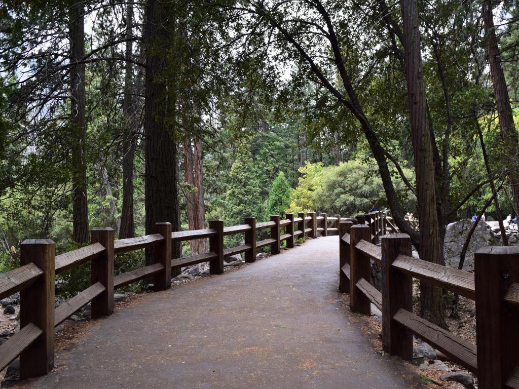 Wooden walking pathway along Lower Yosemite Falls Trail, with surrounding woodland