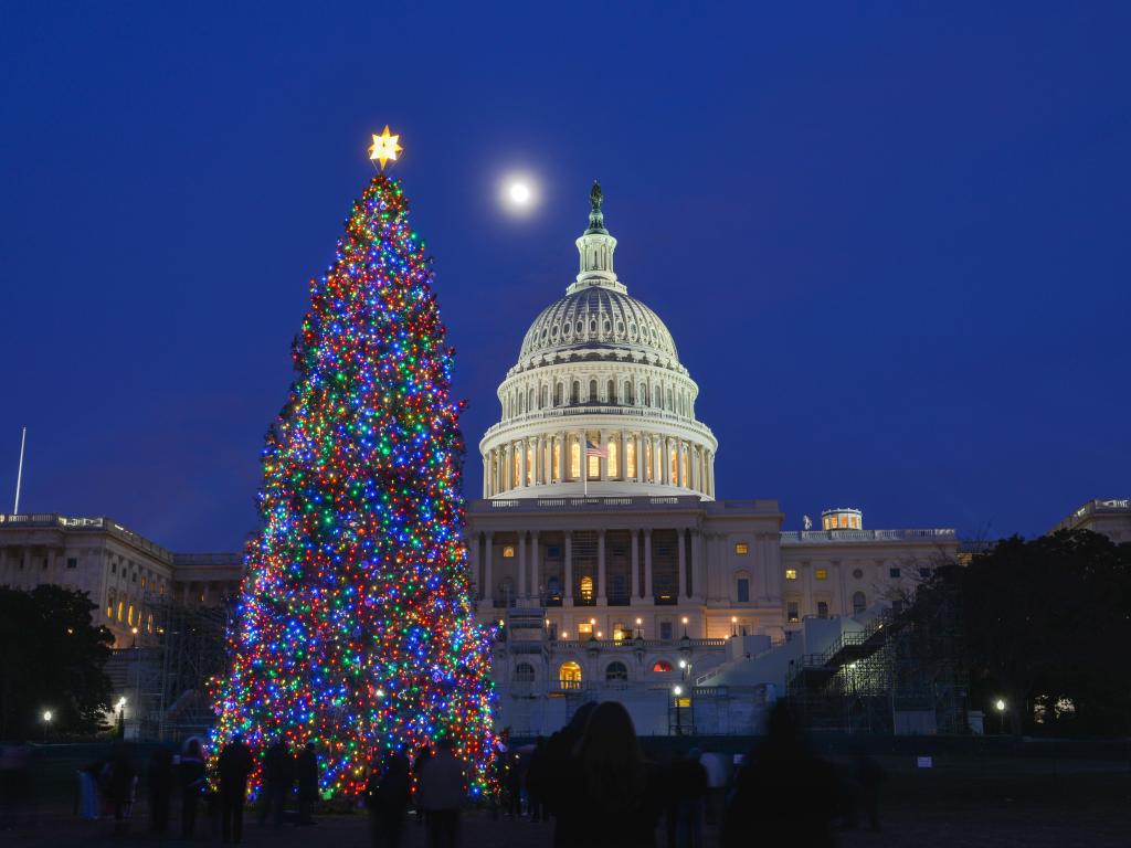 United States Capitol Building and Christmas tree at night.