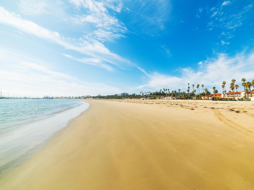 Golden shore in Santa Barbara, California with trees and beach houses to the right and the sea to the left.