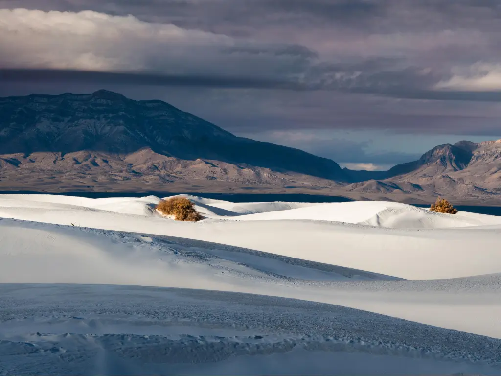 White Sands National Park in New Mexico, USA with dunes from the Alkali Flat trail at White Sands National Monument.