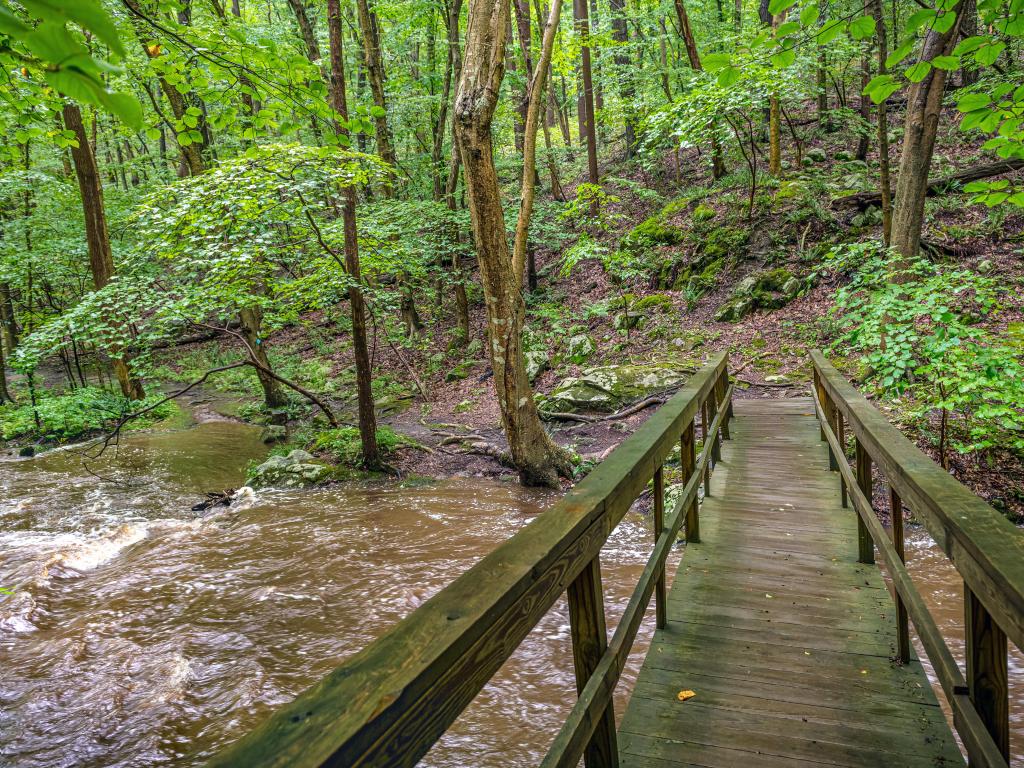 A wooden footbridge over Roaring Rocks stream in Warren County New Jersey.
