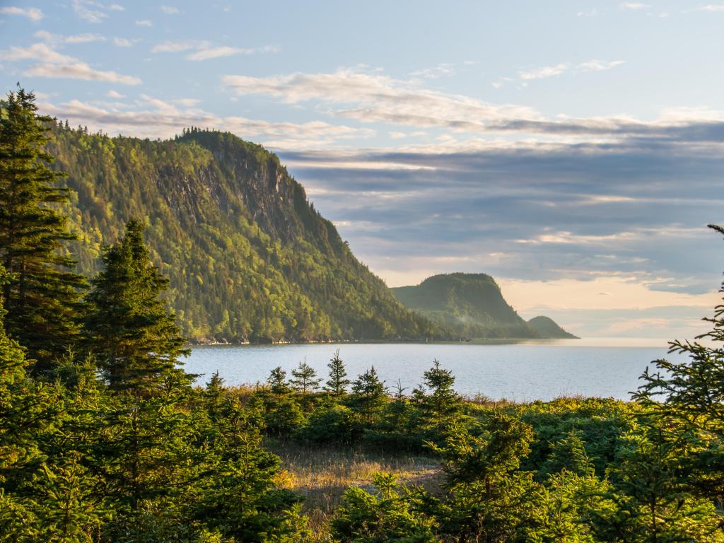Forillon National Park, Québec, Canada with forests in the foreground, water in front of tree covered mountains in the distance at sunset. 