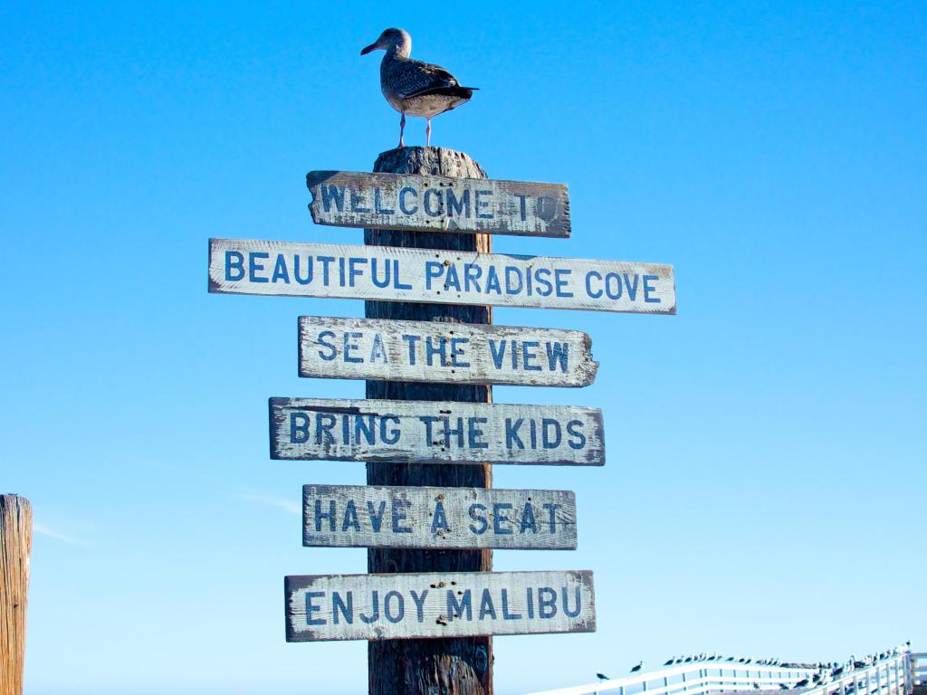 A sign and a seagull welcome visitors to the pier at Malibu Beach in California.