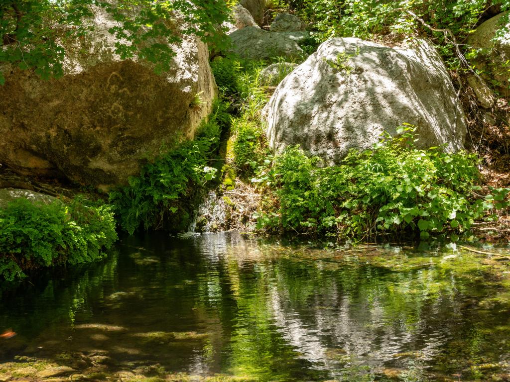 Frijole Ranch Trail. The world's most extensive Permian fossil reef is depicted in the photo. Green oasis in the desert with a waterfall.