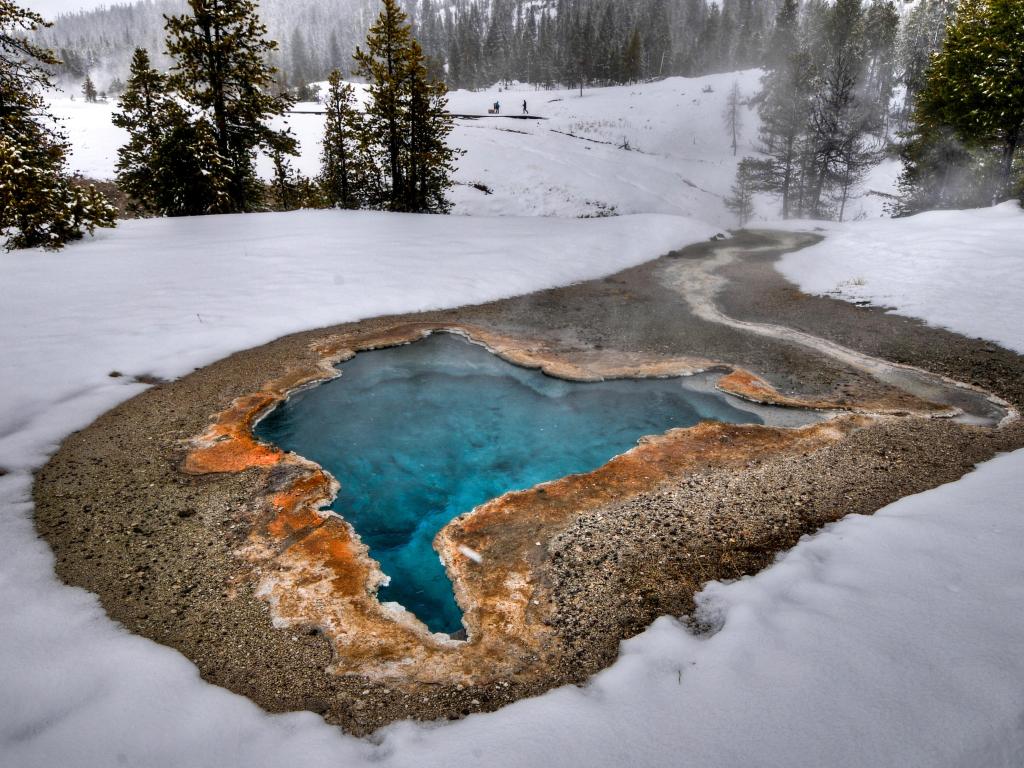 Colorful hot mineral springs in Yellowstone National Park during wintertime.