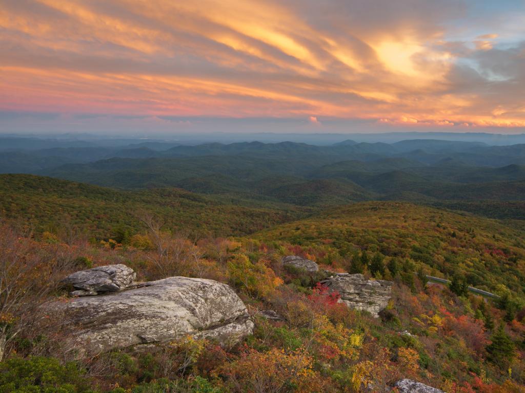 Blue Ridge Mountains, near Blowing Rock, North Carolina, USA taken at sunset at the Rough Ridge Overlook with hills and fall colored bushes and wildflowers.