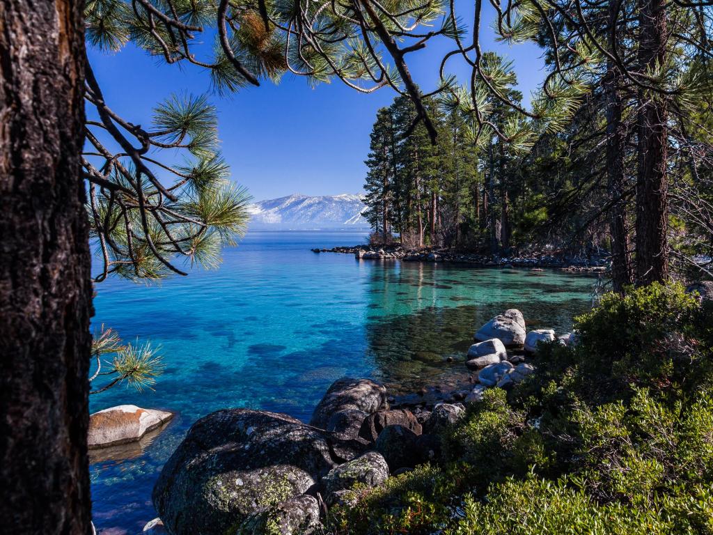 Clear, turquoise waters of Lake Tahoe with shoreline of pine forest and mountains
