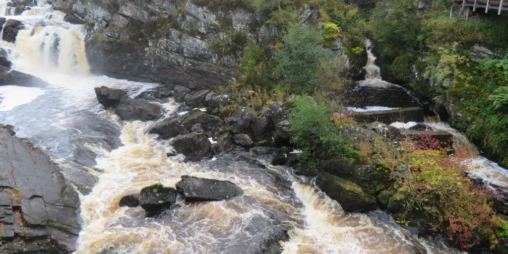 Water crashing over Rogie Falls, Scotland, with forest in the background and autumnal flora to the side