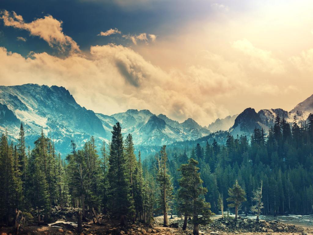 Sierra Nevada Mountains with tall trees in the foreground, a lake to the left and snow capped mountains in the background.