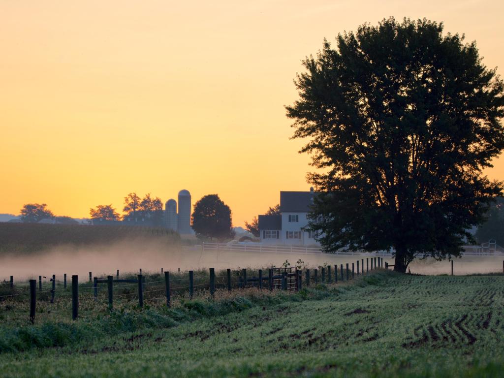 Lancaster, Pennsylvania, USA taken in the morning with a field in the foreground and mist in the distance. 